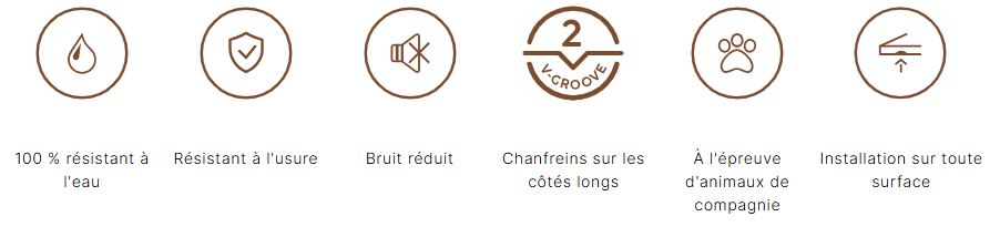 Caractéristiques coretec Essentials texas H86